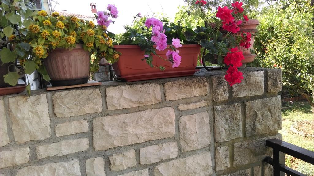 Apartments Ana Rovinj Dış mekan fotoğraf